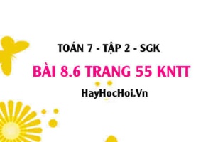 Bài 8.6 trang 55 Toán 7 Tập 2 Kết nối tri thức